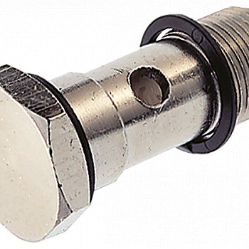 Banjo Fittings / Bolts
